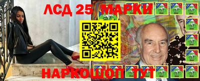 apvp Донской